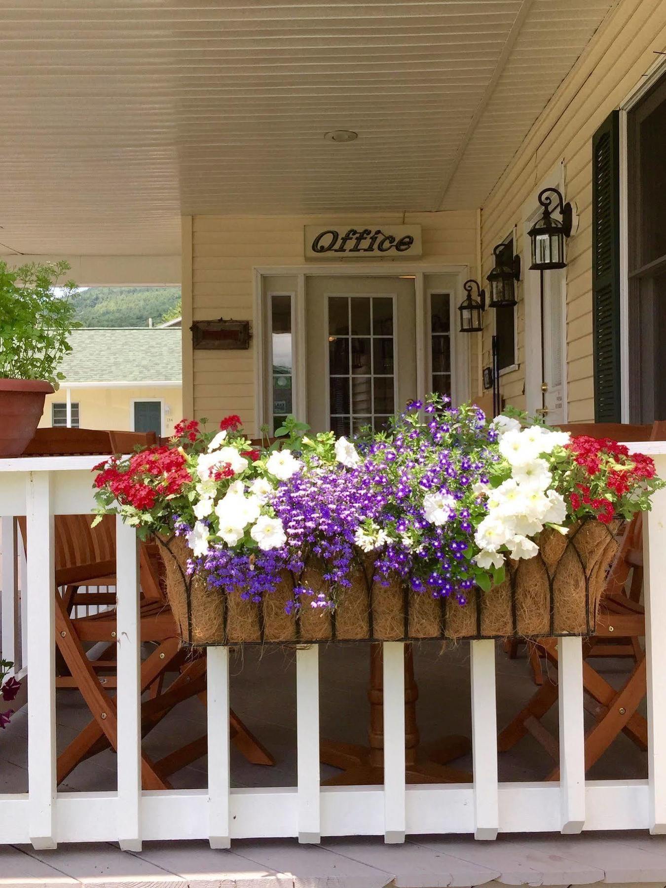 Motel The Heritage Of George 3*